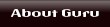 About Guru